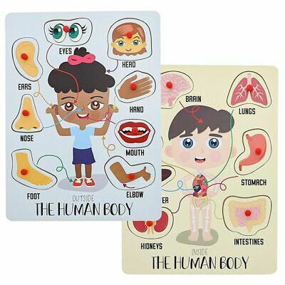 2-Pack Educational Wood Peg Puzzle, My Human Body Inside and Outside Parts 12x9