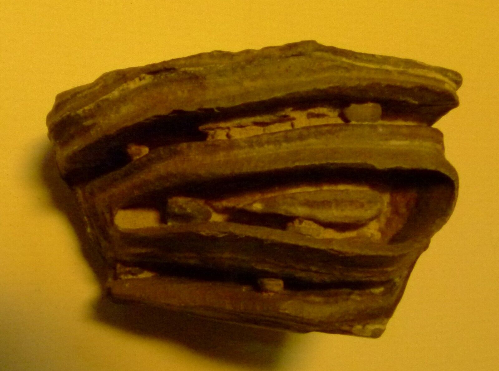 Precambrian Stromatolite Fossil 22i Morocco Freeform 2⅝” X 2” X 2” 263.7 Grams