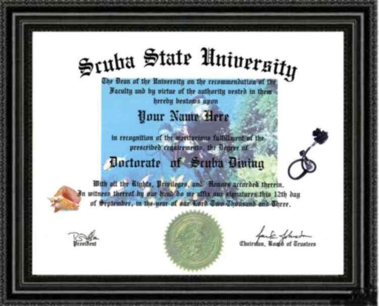 Scuba Diver Lover's Doctorate Diploma / Degree Custom Made & Designed For You